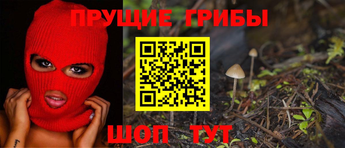 Псилоцибиновые грибы Psilocybe Туапсе
